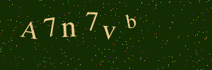 Validation image